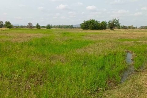 Земельный участок в Сарабури, Таиланд 204800м2  № 151514 - фото 4