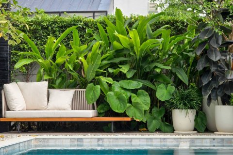 Villa in Bang Lamung, Thailand 4 Schlafzimmer № 222721 - Foto 3