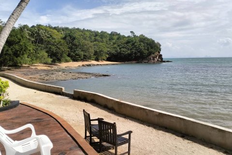 Land in Ko Lanta Yai, Thailand 9600 sq.m. № 157866 - photo 2