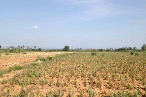 Land in Hua Hin, Thailand № 168471 - photo 9