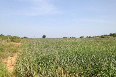 Land in Hua Hin, Thailand № 168471 - photo 6