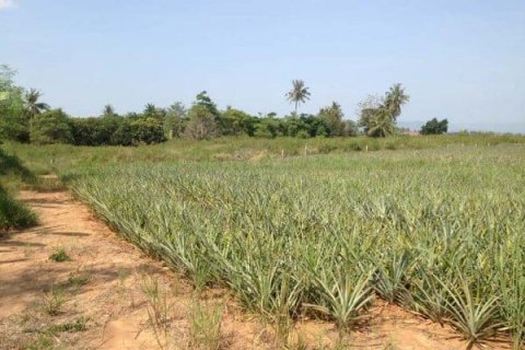 Land in Hua Hin, Thailand № 168471