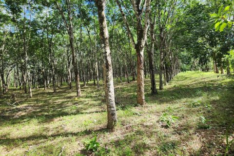 Land in Phuket, Thailand 320000 sq.m. № 149249 - photo 5