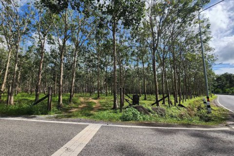 Land in Phuket, Thailand 320000 sq.m. № 149249 - photo 10