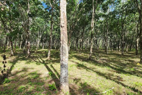 Land in Phuket, Thailand 320000 sq.m. № 149249 - photo 8