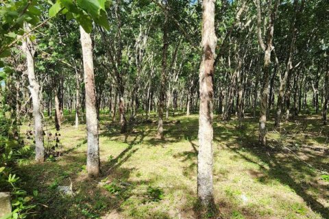 Land in Phuket, Thailand 320000 sq.m. № 149249 - photo 7