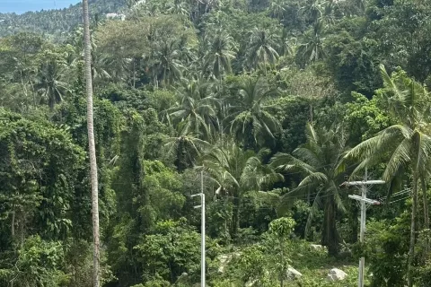 Земельный участок в Самуи, Таиланд 1600м2  № 139737 - фото 4