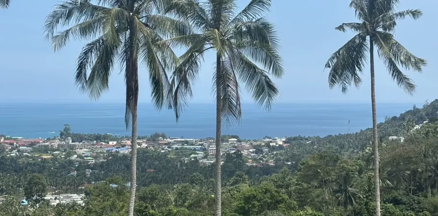 Земельный участок в Самуи, Таиланд 1600м2  № 139737