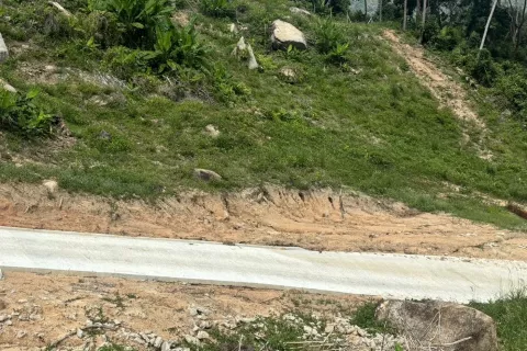 Земельный участок в Самуи, Таиланд 1600м2  № 139737 - фото 5