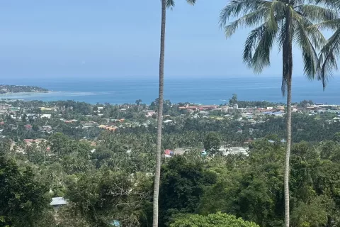 Земельный участок в Самуи, Таиланд 1600м2  № 139737 - фото 2