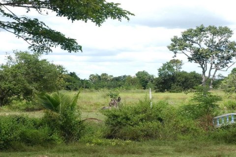 Land in Udon Thani, Thailand 3154 sq.m. № 164670 - photo 3