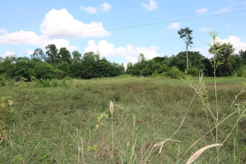 Land in Udon Thani, Thailand 3154 sq.m. № 164670