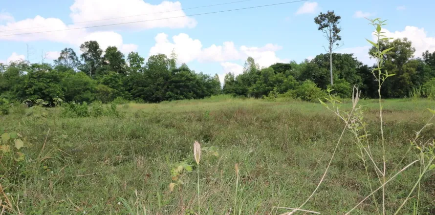 Land in Udon Thani, Thailand 3154 sq.m. № 164670