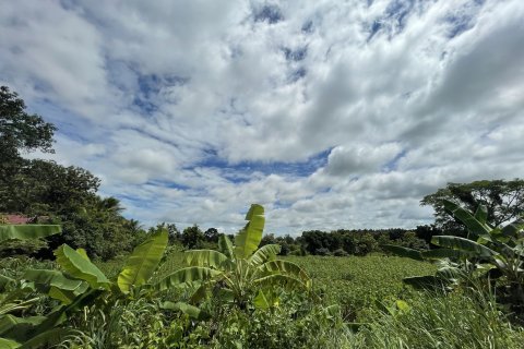 Земельный участок в Каласине, Таиланд 28048м2  № 164668 - фото 5