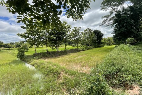 Земельный участок в Каласине, Таиланд 28048м2  № 164668 - фото 8