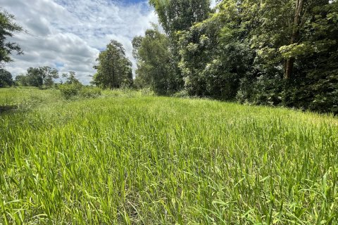 Земельный участок в Каласине, Таиланд 28048м2  № 164668 - фото 10