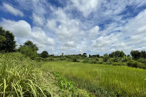 Земельный участок в Каласине, Таиланд 28048м2  № 164668 - фото 9