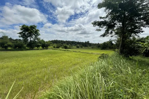 Земельный участок в Каласине, Таиланд 28048м2  № 164668 - фото 3