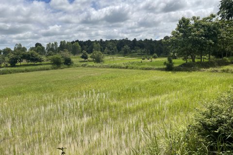 Земельный участок в Каласине, Таиланд 28048м2  № 164668 - фото 7