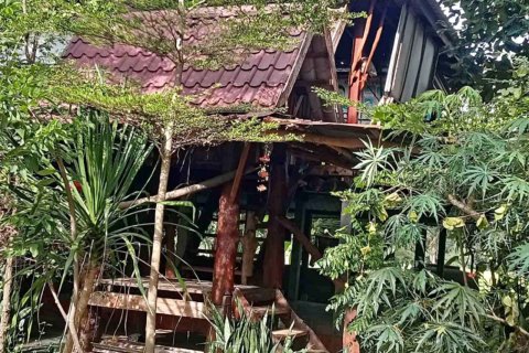 Земельный участок в Каласине, Таиланд 28048м2  № 164668