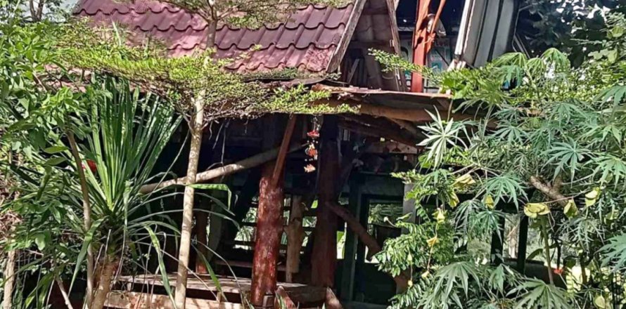 Земельный участок в Каласине, Таиланд 28048м2  № 164668