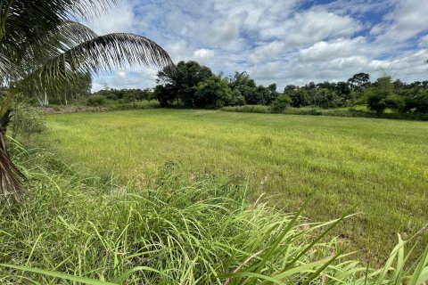 Земельный участок в Каласине, Таиланд 28048м2  № 164668 - фото 4