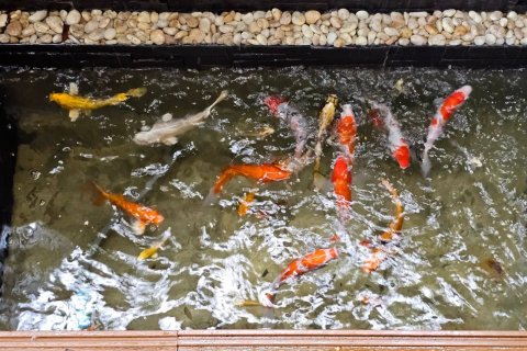 Дом в Банг Ламунге, Таиланд с 2 спальнями № 135116 - фото 19