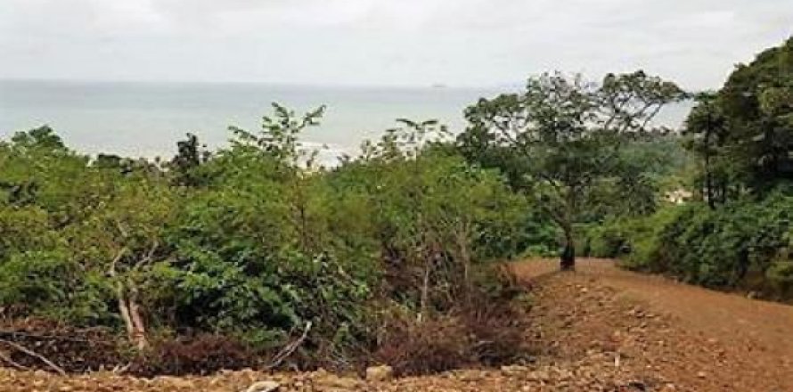 Terrain à Ko Lanta Yai, Thaïlande 55200 m2 № 192886