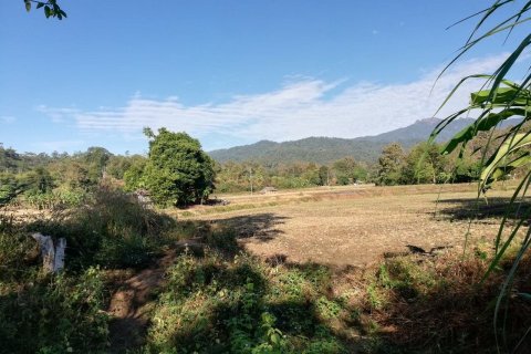 Terrain à Mae Hong Son, Thaïlande 10624 m2 № 147707 - photo 9