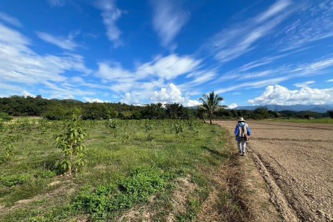 Terrain à Mae Hong Son, Thaïlande 10624 m2 № 147707 - photo 6