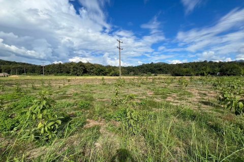 Terrain à Mae Hong Son, Thaïlande 10624 m2 № 147707 - photo 3
