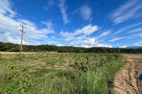 Terrain à Mae Hong Son, Thaïlande 10624 m2 № 147707 - photo 20