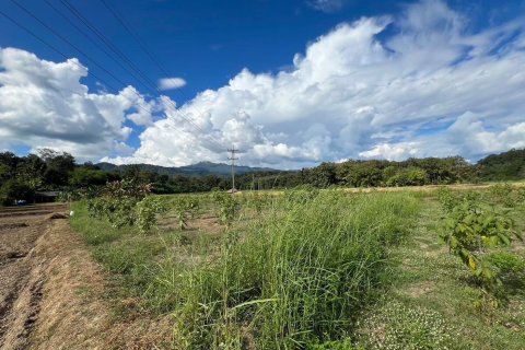Terrain à Mae Hong Son, Thaïlande 10624 m2 № 147707 - photo 18