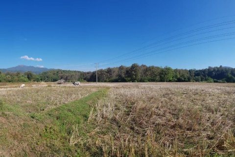 Terrain à Mae Hong Son, Thaïlande 10624 m2 № 147707 - photo 8