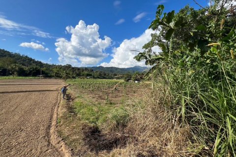 Terrain à Mae Hong Son, Thaïlande 10624 m2 № 147707 - photo 14