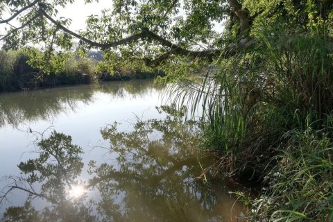 Terrain à Mae Hong Son, Thaïlande 10624 m2 № 147707 - photo 15