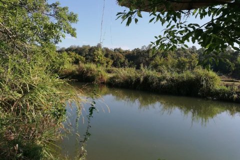 Terrain à Mae Hong Son, Thaïlande 10624 m2 № 147707 - photo 5
