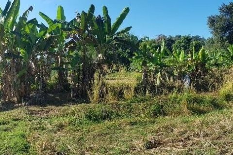 Terrain à Mae Hong Son, Thaïlande 10624 m2 № 147707 - photo 13
