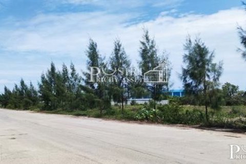 Land in Samut Sakhon, Thailand 6400 sq.m. № 169212 - photo 5