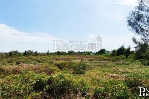 Land in Samut Sakhon, Thailand 6400 sq.m. № 169212 - photo 4