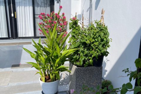 Condo in Phuket, Thailand, 3 bedrooms  № 169208 - photo 29