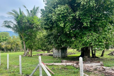 Студия в Самуй, Таиланд № 172460