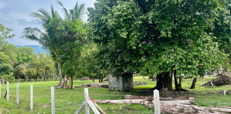 Studio à Ko Samui, Thaïlande № 172460