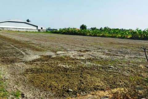 Земельный участок в Сам Пхране, Таиланд 6800м2  № 137151 - фото 2