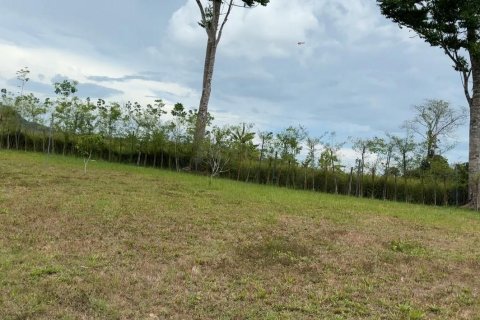 Land in Phang Nga, Thailand 2125 sq.m. № 142865 - photo 5