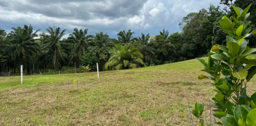 Land in Phang Nga, Thailand 2125 sq.m. № 142865