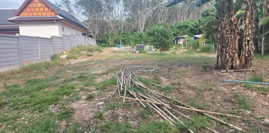 Terrain à Phuket, Thaïlande 958 m2 № 171915