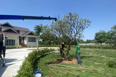 House in Sikhio, Thailand 3 bedrooms № 164598 - photo 4