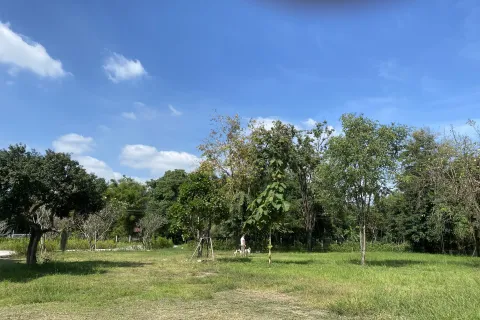 House in Sikhio, Thailand 3 bedrooms № 164598 - photo 7