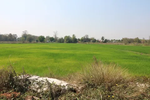 Maison à Tha Bo, Thaïlande 3 chambres № 164600 - photo 7